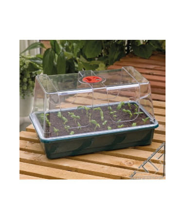 Propagator Szklarenka z wentylacją 37,5x23x18 GARLAND - 1 - mini szklarnia przeznaczona do kiełkowania nasion i ukorzeniania szc Propagator Szklarenka z wentylacją 37,5x23x18 GARLAND - 1 - mini szklarnia przeznaczona do kiełkowania nasion i ukorzeniania szc