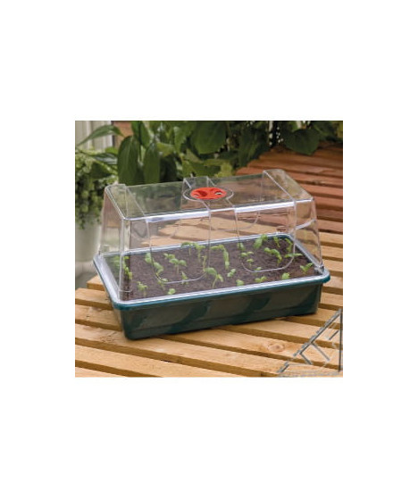 Propagator Szklarenka z wentylacją 37,5x23x18 GARLAND - 1 - mini szklarnia przeznaczona do kiełkowania nasion i ukorzeniania szc