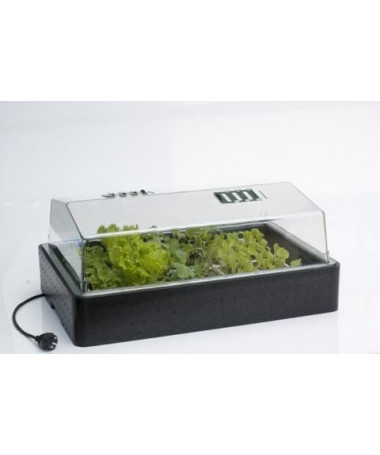 BEHEIZTER PROPAGATOR, 60x40xh25cm, 50W, 230V eazy-Stecker - 1