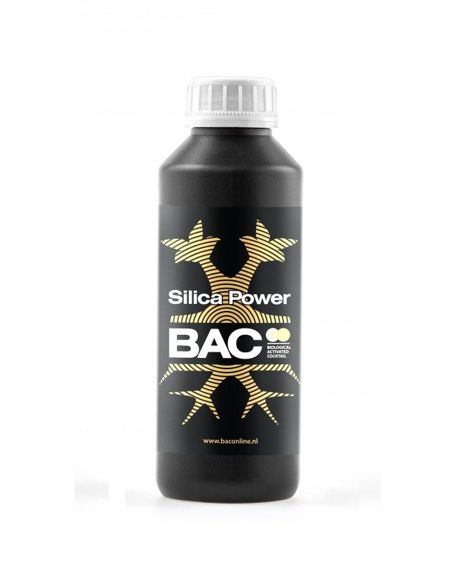 BAC Silica Power 250ml - Flüssiges Silizium