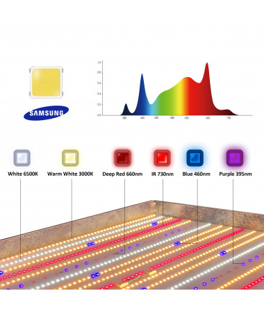 GOAT Samsung Quantum LED 320W 2.6µmol DUAL - BOARD - 5 -