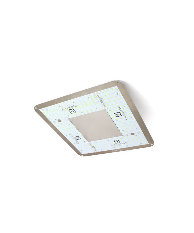 -30 % LED-Lampe COSMOS 300 W, 2,5 µmol