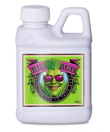 Advanced Nutrients Big Bud 4l Blühbeschleuniger - 2