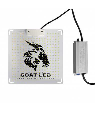 led do roslin goat 100w