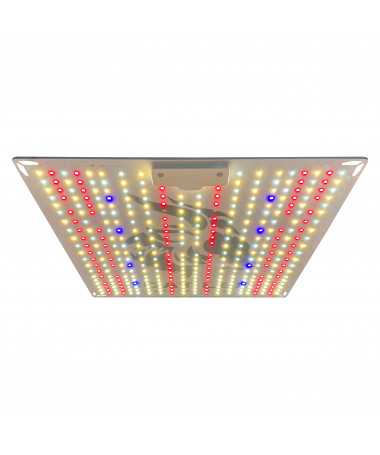 150w ziege led evo