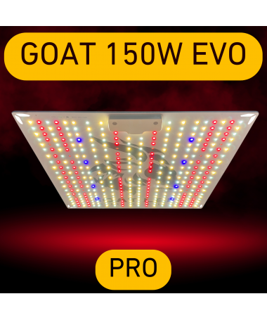 GOAT LED EVO 150w professional led cannabis lamp