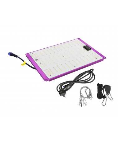 UV lamp for plant