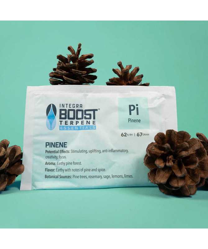 INTEGRA BOOST TERPENY PINENE 67g 62%