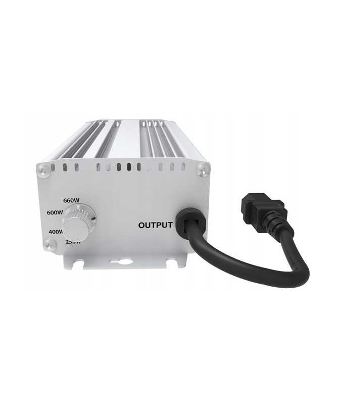 Elektronisches Netzgerät Fortis 600W DIMM