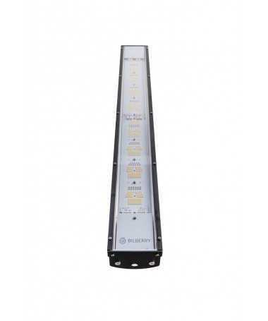 BILBERRY LED 340 W – 1 – BILBERRY LED 340 W – 1 –