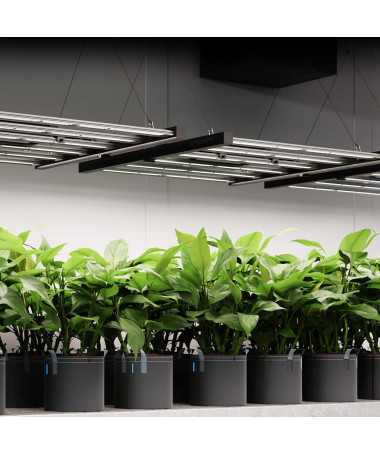 AC Infinity IONFRAME EVO4 300W Lampa LED Grow Full Spectrum Samsung LM301H EVO do 120x120cm - 4 - Lampy LED do uprawy roślin