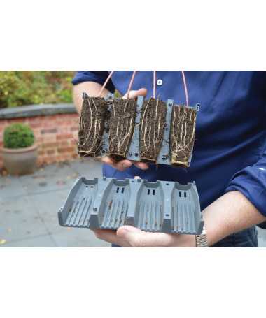 28 REUSABLE ROOTING MEDIA PACKETS (WITHOUT GREENHOUSE), 21x5xh12cm, GARLAND DEEP ROOT SUCCESS KIT - 2