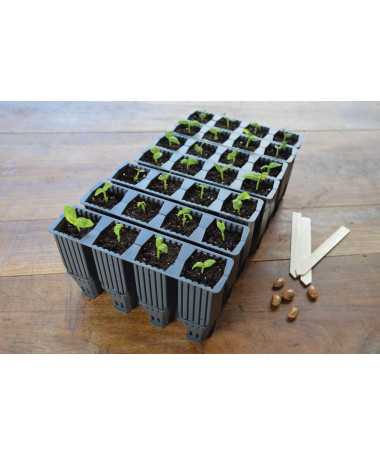 28 WIEDERVERWENDBARE WURZELKASSETTEN (OHNE ANZUCHTBEHÄLTER), 21 × 5 × H 12 cm, GARLAND DEEP ROOT SUCCESS KIT - 3