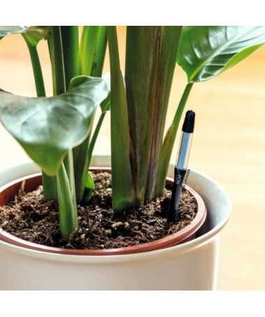 Lechuza – Soil Moisture Indicator for Potted Plants - 4 Lechuza – Soil Moisture Indicator for Potted Plants - 4