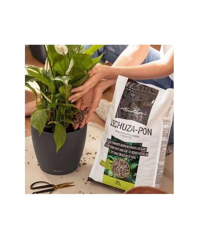 Lechuza-PON 30 l – Mineralisches Substrat für Pflanzen Lechuza-PON 30 l – Mineralisches Substrat für Pflanzen