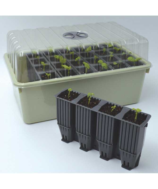28 REUSABLE ROOTING STICKS + GREENHOUSE / PROPAGATOR, 38x23x20 cm, GARLAND DEEP ROOT SUCCESS KIT 28 REUSABLE ROOTING STICKS + GREENHOUSE / PROPAGATOR, 38x23x20 cm, GARLAND DEEP ROOT SUCCESS KIT
