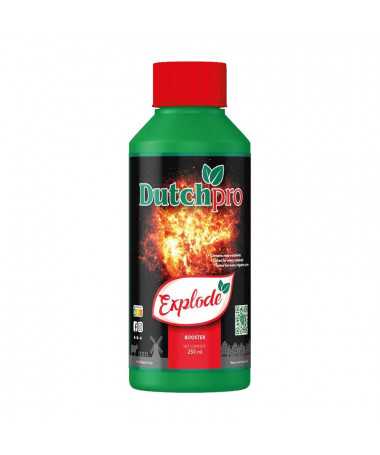 DUTCHPRO EXPLODE 250 ml – 1 – Explode ist ein hervorragender Blütenstimulator, der Ihre Pflanzen mit wichtigen Mineralien und Nä DUTCHPRO EXPLODE 250 ml – 1 – Explode ist ein hervorragender Blütenstimulator, der Ihre Pflanzen mit wichtigen Mineralien und Nä