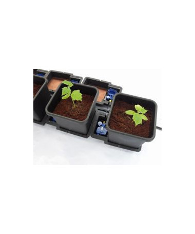 Autopot Easy2Grow Kit 6x 8.5L pot + 47L tank - 3 - The AutoPot system is a universal irrigation system suitable for