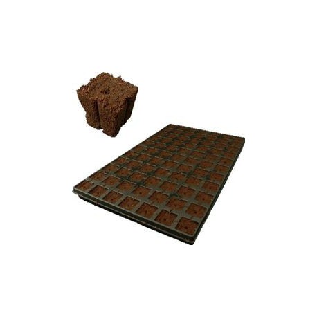 Eazy Plug Seed Sowing Tray 104 pcs