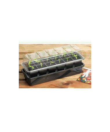 GARLAND SELBSTBESTEIGENDES GLASZIMMER/PROPAGATOR, 12 SÄEN, 1.2L TANK, 37.5x13.5xh16cm - 2