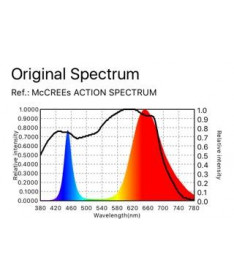 Spectrolight LED Starter Lamp 100W Lens Angle 120° - 8