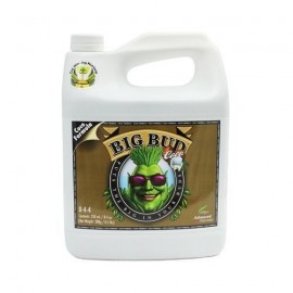 Advanced Nutrients Big Bud Coco 10l Blühbeschleuniger - 1