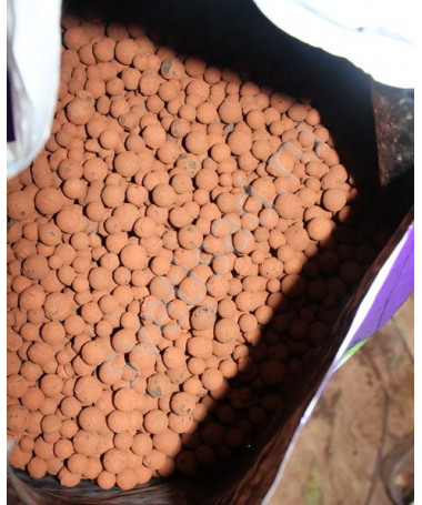 PLAGRON KERAMIK PELLETS 8/16 45L EURO PEBBLES - 3