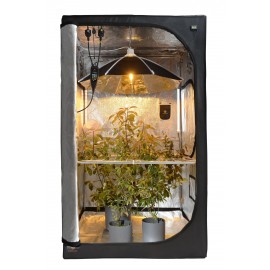 Secret Jardin Daisy fi60cm Regenschirm Reflektor - 3