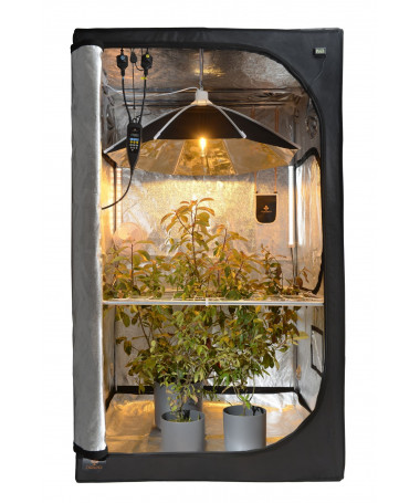 Secret Jardin Reflektor „Daisy“, Durchmesser 60 cm, Regenschirmform – 3 – Unsere Lampe in Regenschirmform sorgt für eine gleichm Secret Jardin Reflektor „Daisy“, Durchmesser 60 cm, Regenschirmform – 3 – Unsere Lampe in Regenschirmform sorgt für eine gleichm