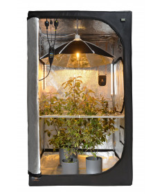 Secret Jardin Daisy fi60cm Regenschirm Reflektor - 3