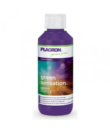 PLAGRON GRÜN SENSATION 100ML - 1