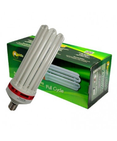 CFL LAMPE PHYTOLITE 125W DUAL BEIDE PHASEN - 1