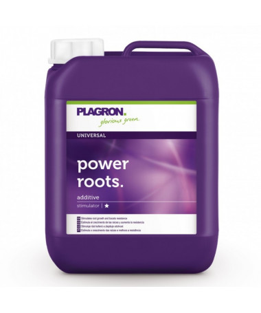 PLAGRON POWER ROOTS 500ML - 2