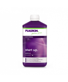 PLAGRON STARTUP 1L - 1