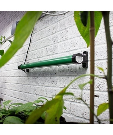 GRZEJNIK ECOHEAT 135W 915MM - 4 - LightHouse ECOHEAT Grzejniki Rurowe z Wyjątkową WytrzymałościąCzy szukasz skutecznego i wytrz GRZEJNIK ECOHEAT 135W 915MM - 4 - LightHouse ECOHEAT Grzejniki Rurowe z Wyjątkową WytrzymałościąCzy szukasz skutecznego i wytrz