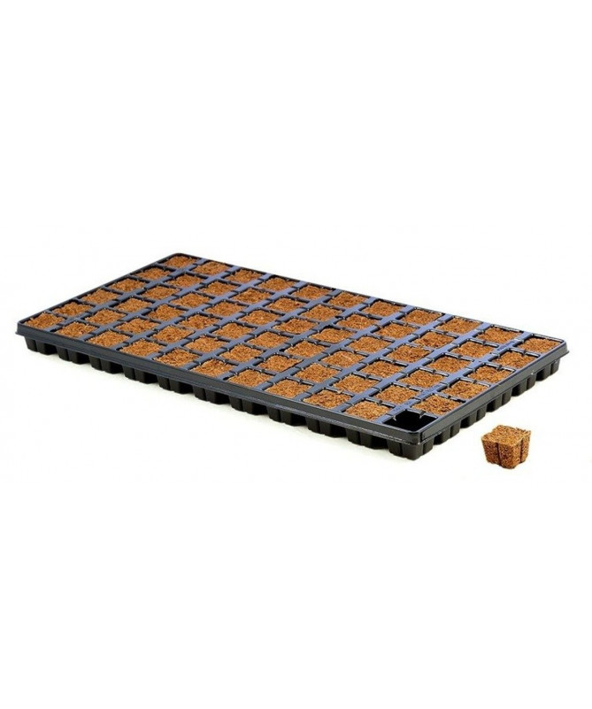 Eazy Plug Seed Sowing Tray 66pcs.