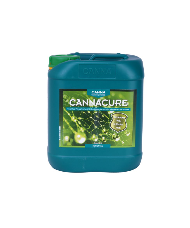 CANE CURE 5L