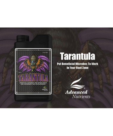 Erweiterte Nährstoffe Tarantula 500ml - 4