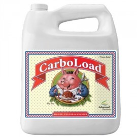 Erweiterte Nährstoffe Carboload 10L - 1