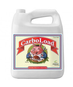 Erweiterte Nährstoffe Carboload 10L - 1