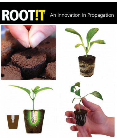 GROWTH TECHNOLOGY ROOT RIOT 24 SEEDLING TRAY - 2