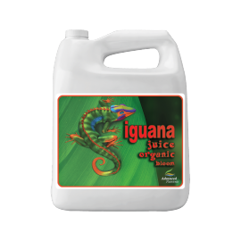 Erweiterte Nährstoffe Iguana-Saft Bloom 10l - 1