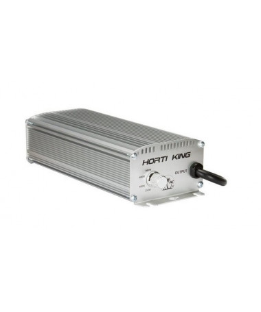 HORTI DIMM 600W POWER SUPPLY - 1