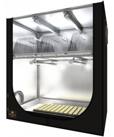 Secret Jardin Dark Propagator 90 × 60 × V 98 – 5 Secret Jardin Dark Propagator 90 × 60 × V 98 – 5