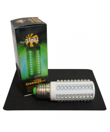 Pure LED - 3,5 W Glühbirne, grünes Licht - 1