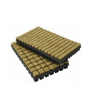 GRODAN TACA WEŁNA 150 SZT, 25*25*40MM - 1 - cenione na świecie podłoże do upraw świetne kostki do kiełkowania i ukorzeniania GRODAN TACA WEŁNA 150 SZT, 25*25*40MM - 1 - cenione na świecie podłoże do upraw świetne kostki do kiełkowania i ukorzeniania