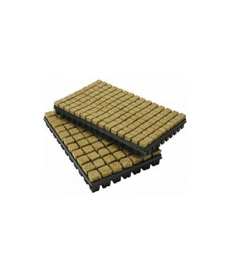 GRODAN TACA WEŁNA 150 SZT, 25*25*40MM - 1 - cenione na świecie podłoże do upraw świetne kostki do kiełkowania i ukorzeniania&nbsp; 