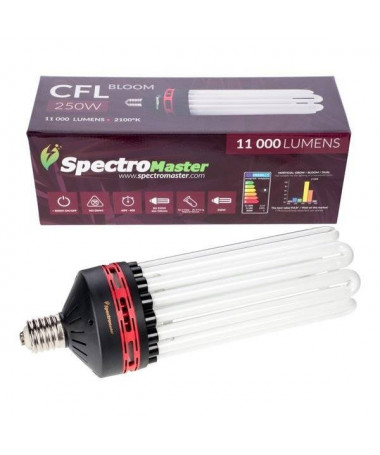 CFL Spectromaster 250W BLOOM - 1 - 