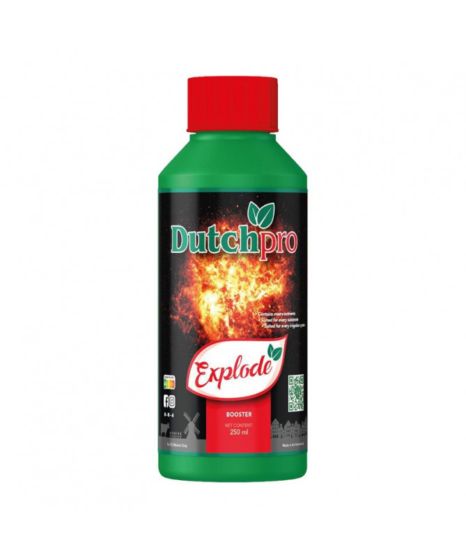 DUTCHPRO EXPLODIEREN 250ML