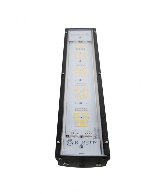 BLAUBEERE LED 160W